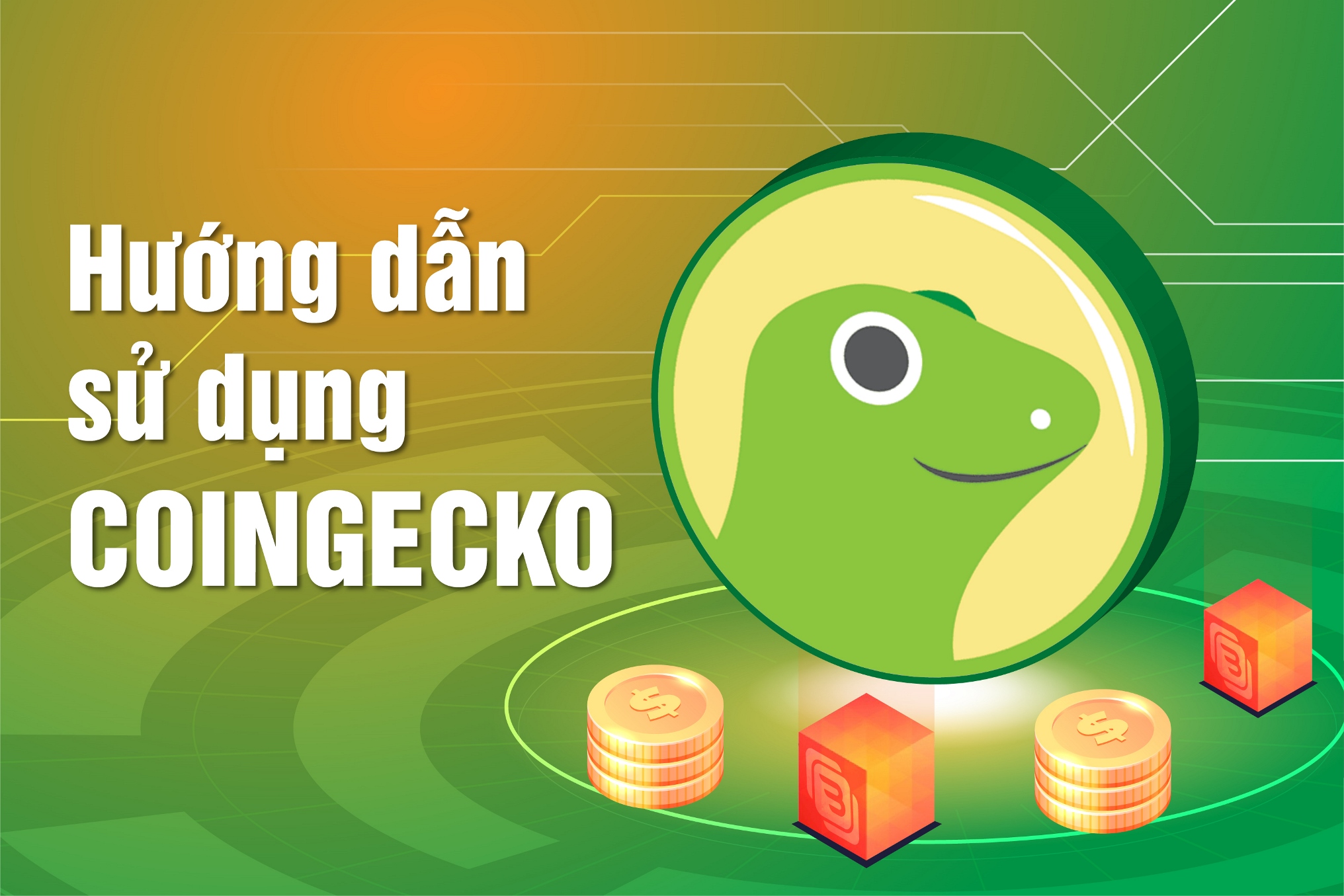 What Is Coingecko Instructions For Using Coingecko From Az For Newbies